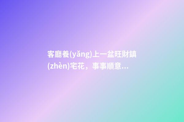 客廳養(yǎng)上一盆旺財鎮(zhèn)宅花，事事順意，就等著財源滾滾來吧！