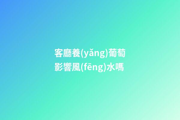 客廳養(yǎng)葡萄影響風(fēng)水嗎