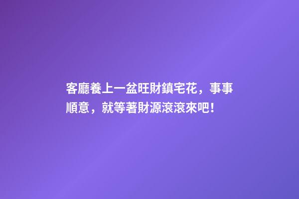 客廳養上一盆旺財鎮宅花，事事順意，就等著財源滾滾來吧！