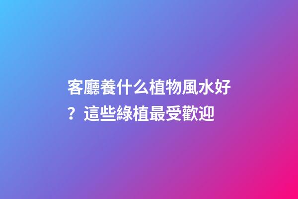 客廳養什么植物風水好？這些綠植最受歡迎