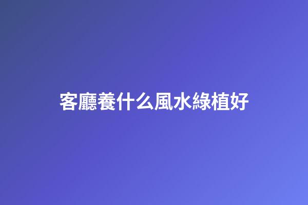 客廳養什么風水綠植好