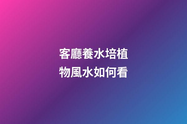 客廳養水培植物風水如何看