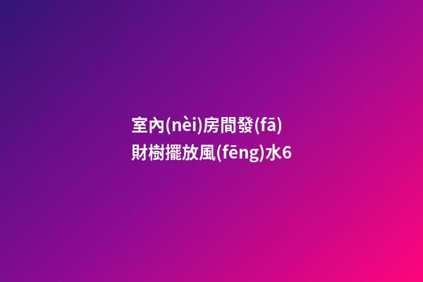 室內(nèi)房間發(fā)財樹擺放風(fēng)水6