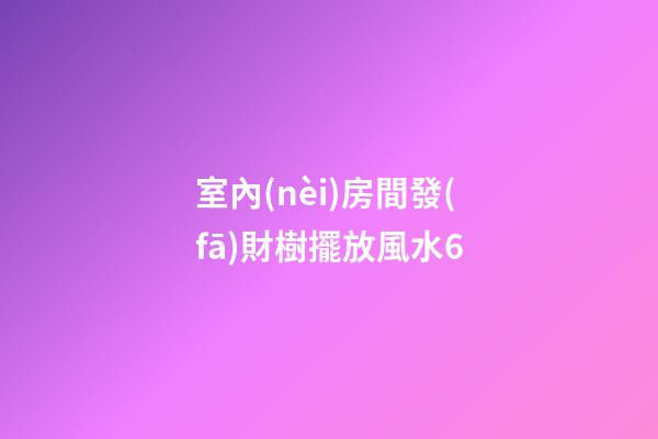 室內(nèi)房間發(fā)財樹擺放風水6
