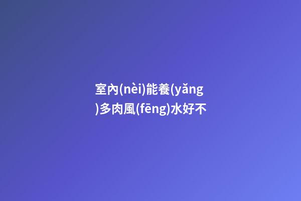 室內(nèi)能養(yǎng)多肉風(fēng)水好不