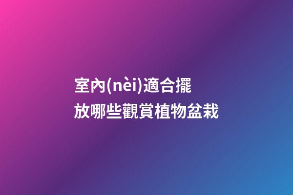 室內(nèi)適合擺放哪些觀賞植物盆栽