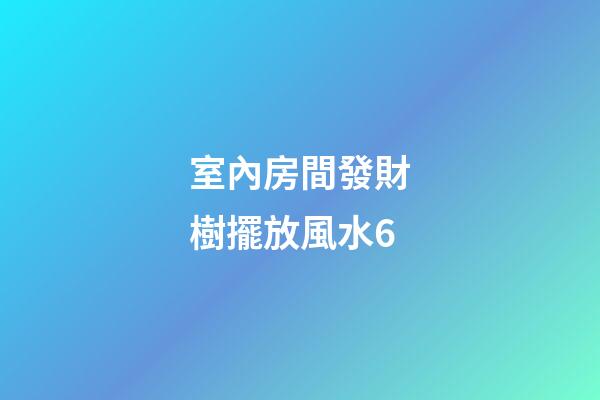 室內房間發財樹擺放風水6