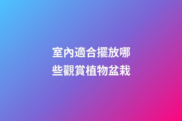 室內適合擺放哪些觀賞植物盆栽