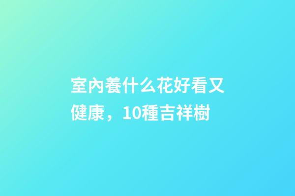 室內養什么花好看又健康，10種吉祥樹-第1張-觀點-玄機派