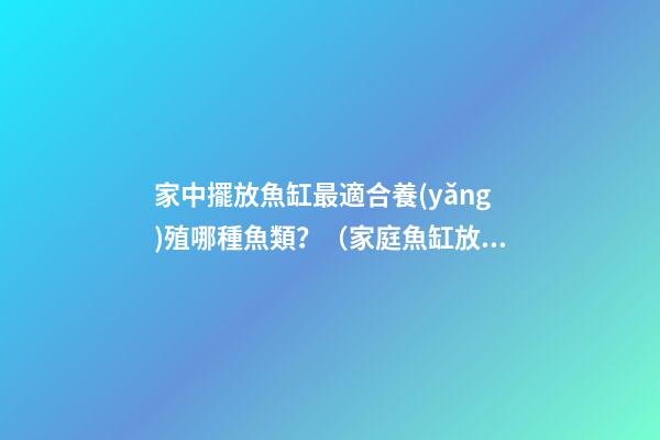 家中擺放魚缸最適合養(yǎng)殖哪種魚類？（家庭魚缸放什么魚最好）