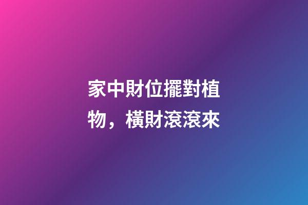 家中財位擺對植物，橫財滾滾來