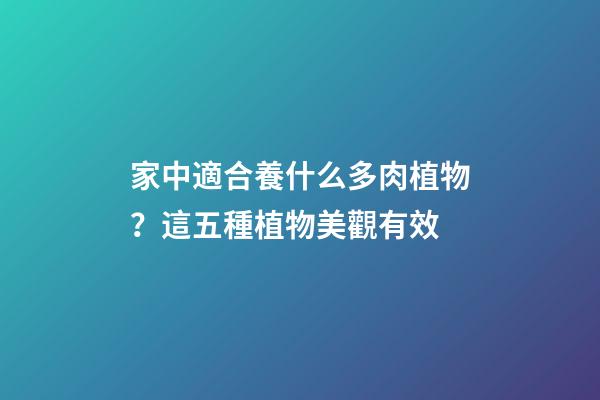 家中適合養什么多肉植物？這五種植物美觀有效