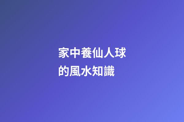 家中養仙人球的風水知識