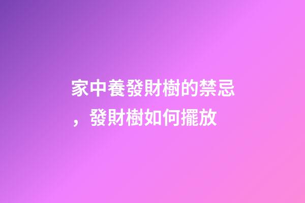 家中養發財樹的禁忌，發財樹如何擺放