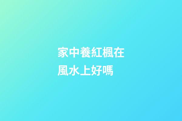家中養紅楓在風水上好嗎