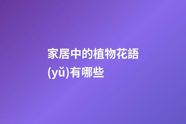 家居中的植物花語(yǔ)有哪些