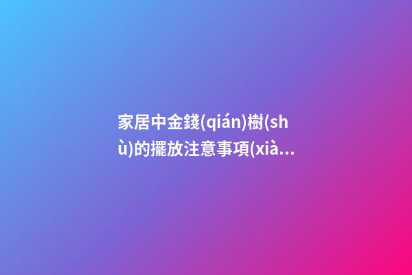 家居中金錢(qián)樹(shù)的擺放注意事項(xiàng)，全注意了好運(yùn)就來(lái)了！