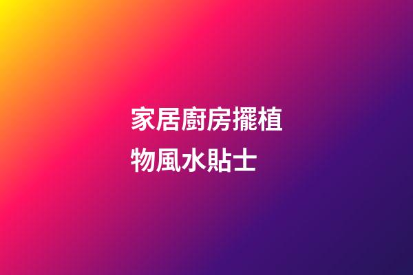 家居廚房擺植物風水貼士