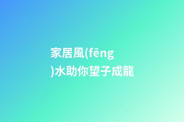 家居風(fēng)水助你望子成龍