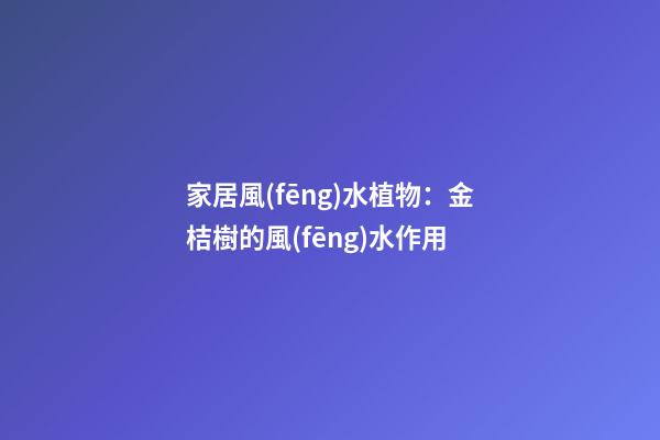 家居風(fēng)水植物：金桔樹的風(fēng)水作用