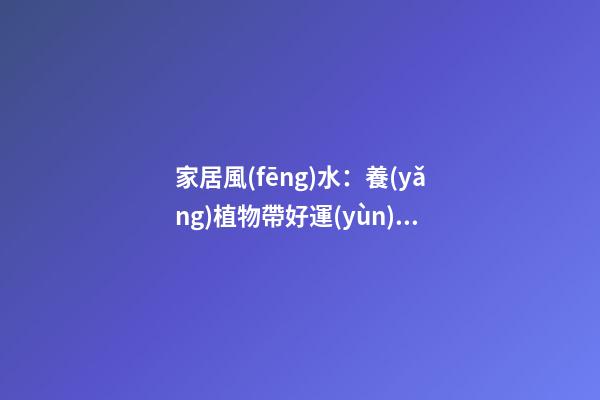 家居風(fēng)水：養(yǎng)植物帶好運(yùn)氣