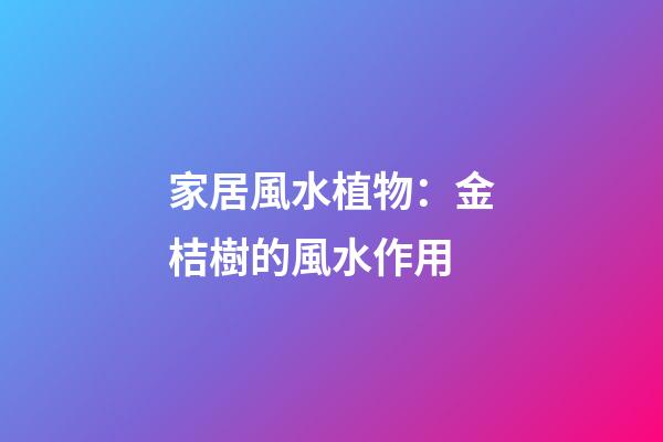 家居風水植物：金桔樹的風水作用