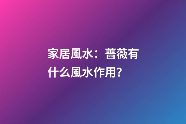 家居風水：薔薇有什么風水作用？