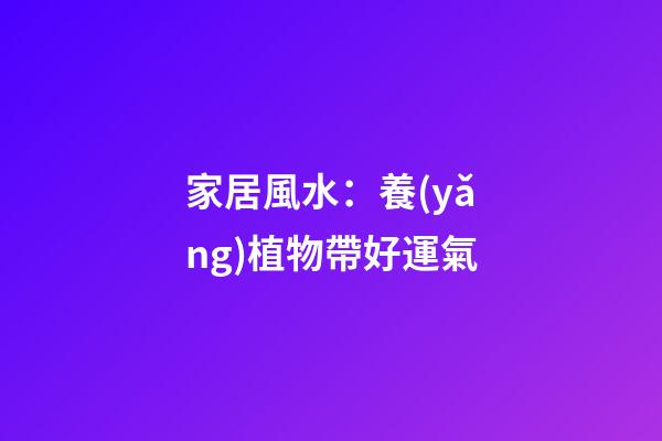 家居風水：養(yǎng)植物帶好運氣