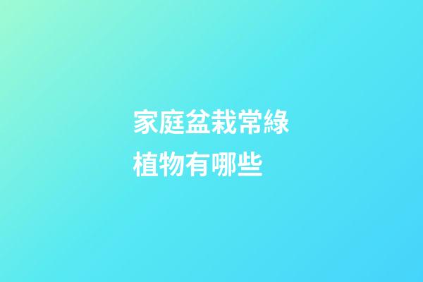 家庭盆栽常綠植物有哪些