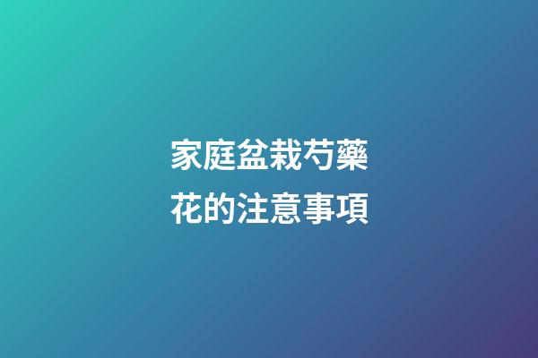 家庭盆栽芍藥花的注意事項
