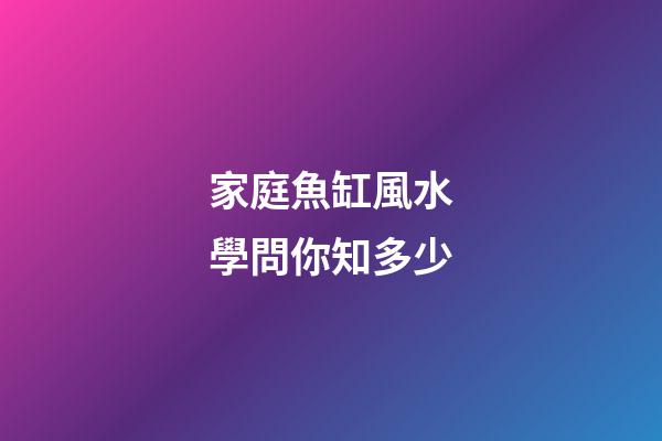 家庭魚缸風水學問你知多少