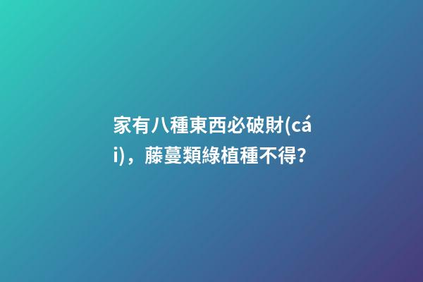 家有八種東西必破財(cái)，藤蔓類綠植種不得？