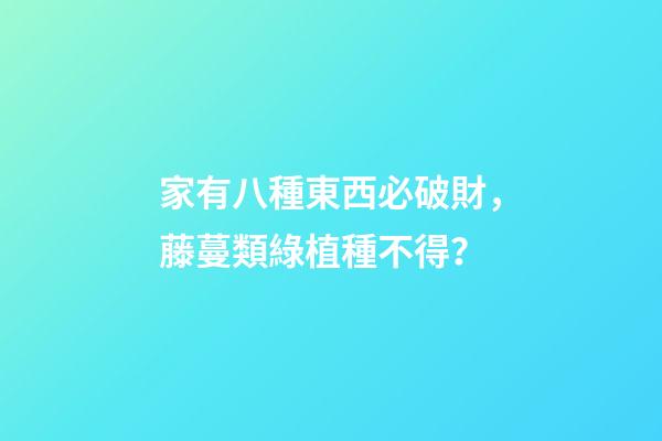 家有八種東西必破財，藤蔓類綠植種不得？