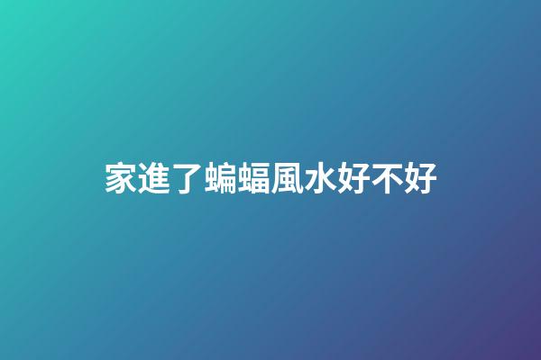 家進了蝙蝠風水好不好