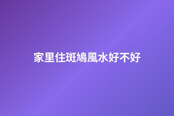 家里住斑鳩風水好不好