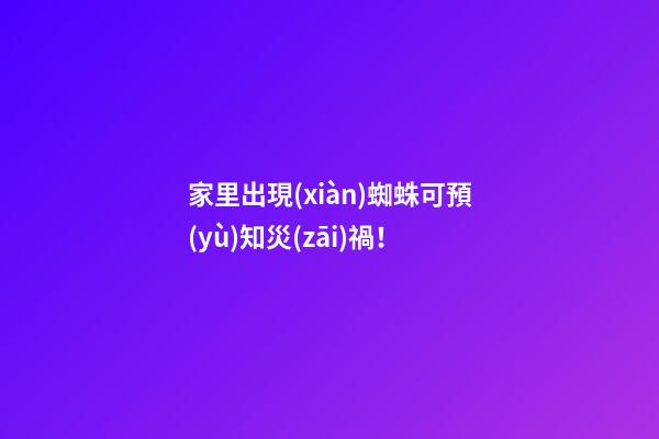 家里出現(xiàn)蜘蛛可預(yù)知災(zāi)禍！