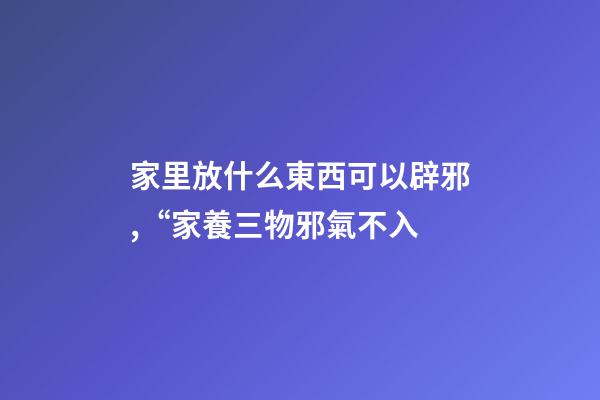 家里放什么東西可以辟邪,“家養三物邪氣不入-第1張-觀點-玄機派