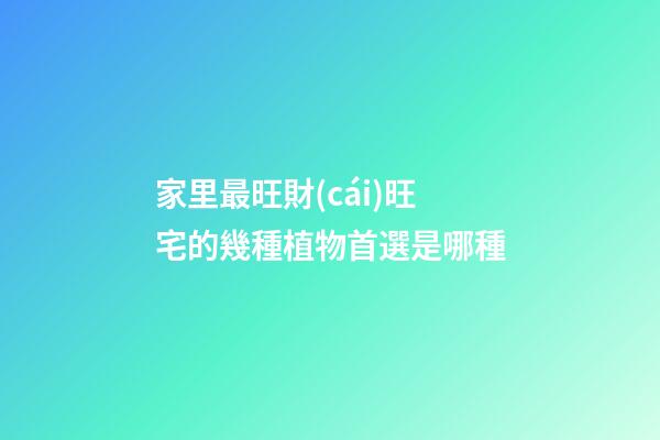 家里最旺財(cái)旺宅的幾種植物首選是哪種