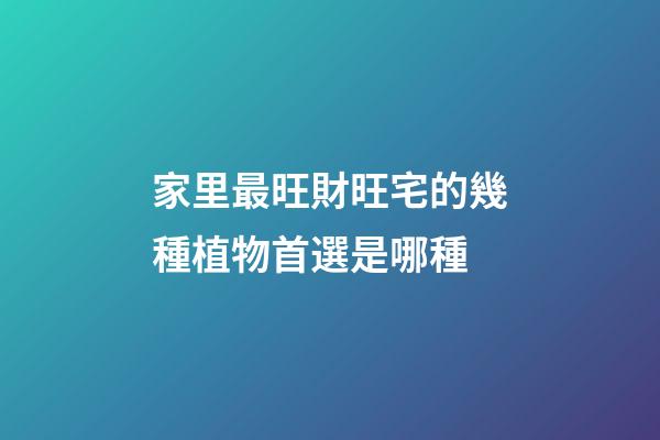 家里最旺財旺宅的幾種植物首選是哪種