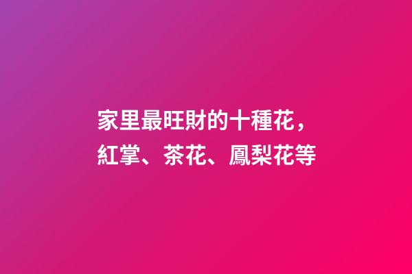 家里最旺財的十種花，紅掌、茶花、鳳梨花等