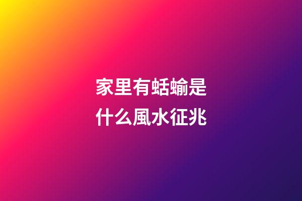 家里有蛞蝓是什么風水征兆