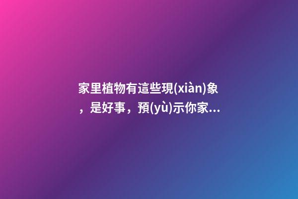 家里植物有這些現(xiàn)象，是好事，預(yù)示你家要發(fā)大財了！