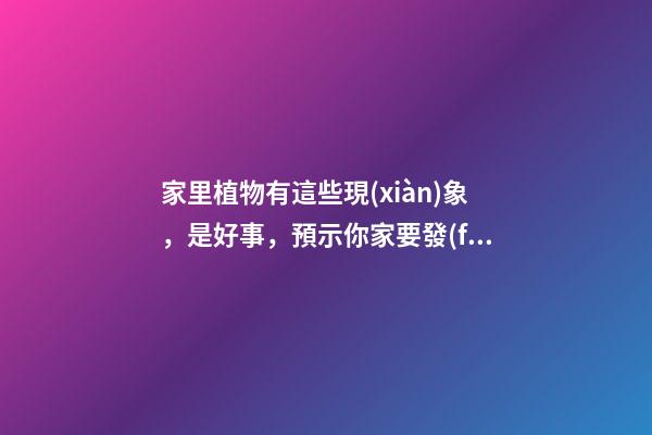 家里植物有這些現(xiàn)象，是好事，預示你家要發(fā)大財了！