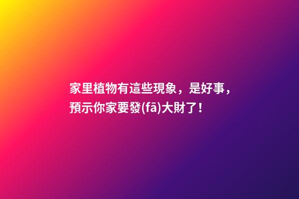 家里植物有這些現象，是好事，預示你家要發(fā)大財了！