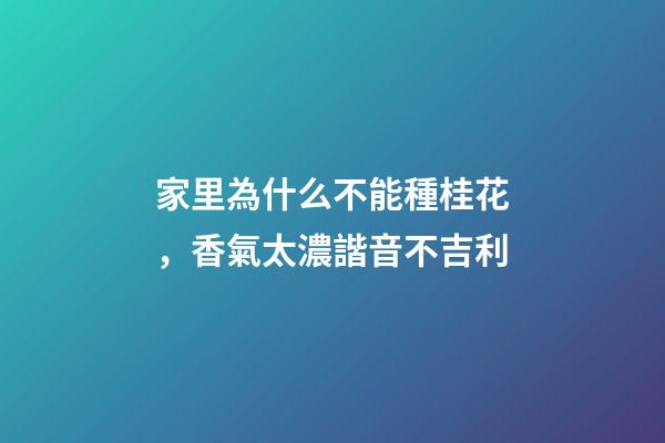 家里為什么不能種桂花，香氣太濃諧音不吉利