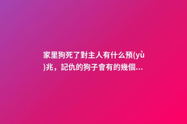 家里狗死了對主人有什么預(yù)兆，記仇的狗子會有的幾個表現(xiàn)