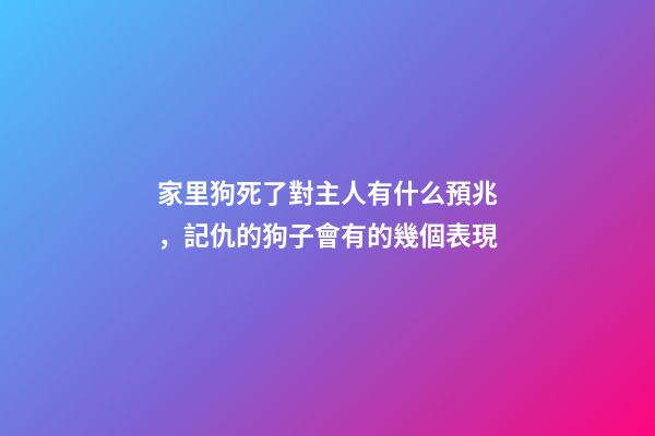 家里狗死了對主人有什么預兆，記仇的狗子會有的幾個表現-第1張-觀點-玄機派