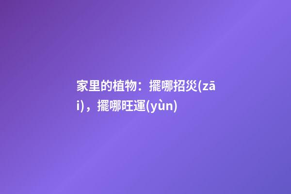 家里的植物：擺哪招災(zāi)，擺哪旺運(yùn)