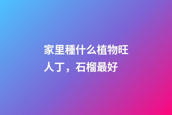 家里種什么植物旺人丁，石榴最好