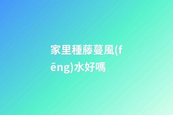 家里種藤蔓風(fēng)水好嗎